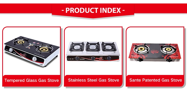 2 Burner Stainless Steel Table Gas Stove