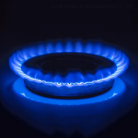 Mini fornello a gas Lotus Flame a doppio fuoco Piano cottura a gas integrato in acciaio inossidabile